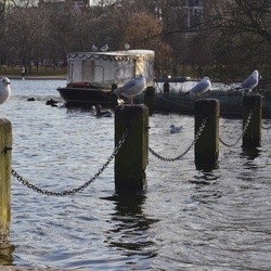 London/Hyde Park/DSC_0042.JPG